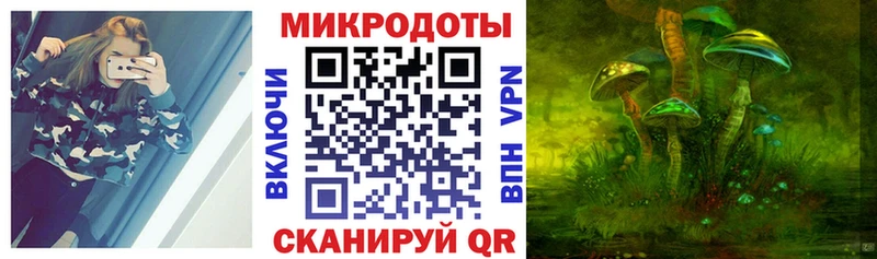 Галлюциногенные грибы Cubensis  купить закладку  Ивангород 