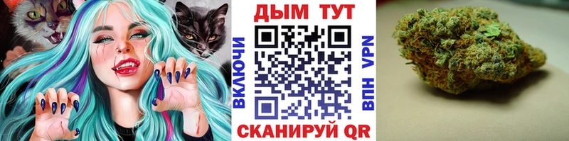 Бошки Шишки план Ивангород